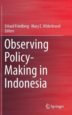 Observing Policy-Making in Indonesia