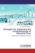 Strategies for enhancing the competitiveness of industrial firms