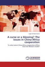 A curse or a blessing? The issues in China-Africa cooperation