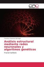 Análisis estructural mediante redes neuronales y algoritmos genéticos