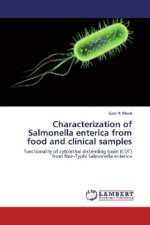 Characterization of Salmonella enterica from food and clinical samples