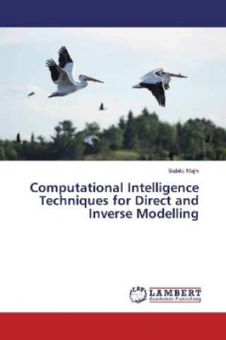 Computational Intelligence Techniques for Direct and Inverse Modelling