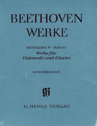 Kritischer Bericht