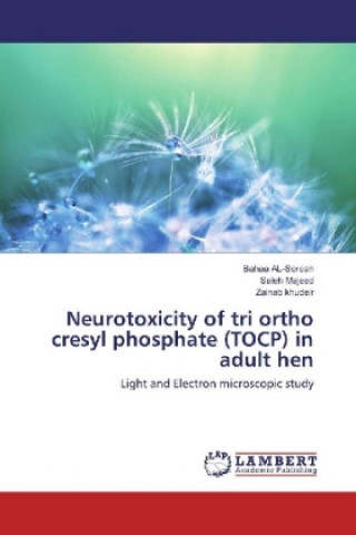 Neurotoxicity of tri ortho cresyl phosphate (TOCP) in adult hen