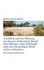 Ausblick auf ein Plateau, an dessen aussertem Rand drei Baume, eine Sitzbank und ein ehemaliger Stall stehen koennten