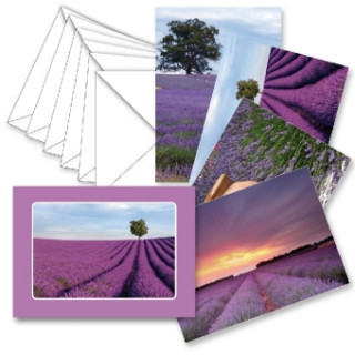 Kartenbox hard - Lavendel