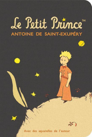 Le Petit Prince Stitch Stitch Pocket Blank Notebook: Lp7530