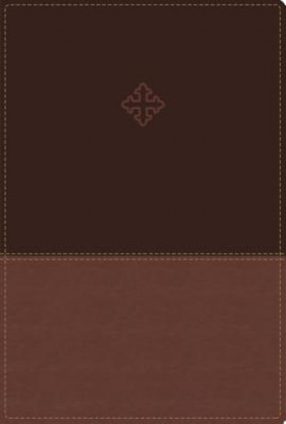 Amplified Study Bible, Leathersoft, Brown, Thumb Indexed