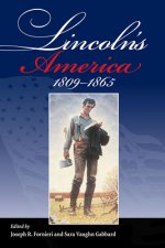 Lincoln's America