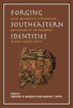 Forging Southeastern Identities