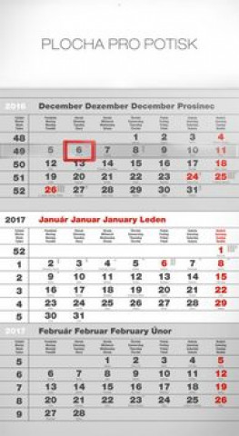 Štandard šedý 3mesačný - nástenný kalendár 2017