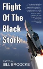 The Flight of the Black Stork