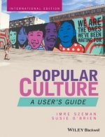 Popular Culture - A User's Guide, International Edition