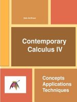 Contemporary Calculus Iv