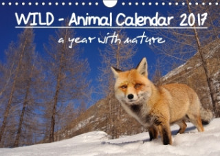 WILD - Animal Calendar 2017 / UK Version (Wall Calendar 2017 DIN A4 Landscape)