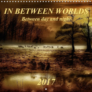 In between worlds - between day and night (Wall Calendar 2017 300 × 300 mm Square)