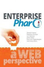 Enterprise Pharo: a Web Perspective