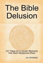 Bible Delusion: 101 'Hang on A Minute' Moments; and God's Mysterious Ways