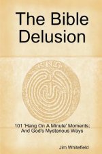 Bible Delusion: 101 'Hang on A Minute' Moments; and God's Mysterious Ways