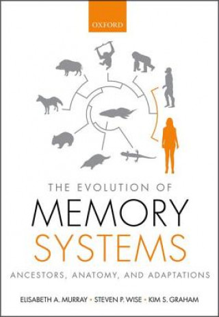 Evolution of Memory Systems