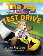 Toy and the Test Drive