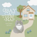 Gray Cat Takes a Nap