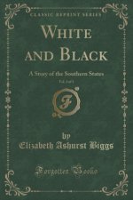WHITE AND BLACK, VOL. 3 OF 3: A STORY OF
