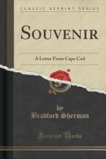 Souvenir