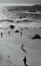 Alive! little penguin friends - Black and White - Photo Art Notebooks (5 x 8 series)