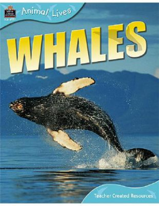 Whales