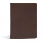 CSB She Reads Truth Bible, Brown Genuine Leather: Notetaking Space, Devotionals, Reading Plans, Easy-To-Read Font