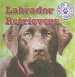 Labrador Retrievers