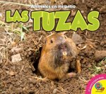 Las Tuzas (Gophers)