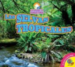 Las Selvas Tropicales (Rainforests)