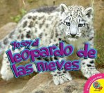 El Leopardo de Las Nieves (Snow Leopard)