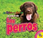 Los Perros (Dogs)