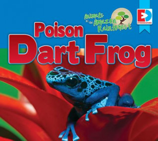 Animals of the Amazon Rainforest: Poison Dart Frog