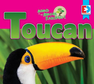 Animals of the Amazon Rainforest: Toucan