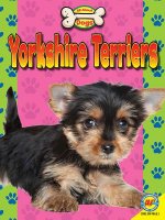 Yorkshire Terriers