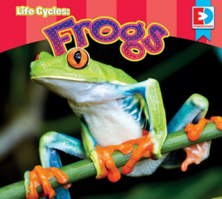 Life Cycles: Frogs