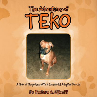 Adventures of Teko