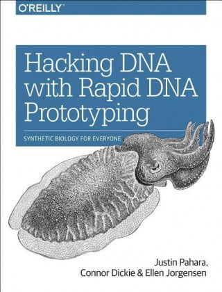 Hacking DNA with Rapid DNA Prototyping: Synthetic Biology for Everyone
