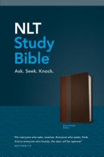 NLT Study Bible, Tutone