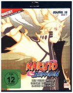 Naruto Shippuden - Staffel 15 - Box 1: Folgen 541-554