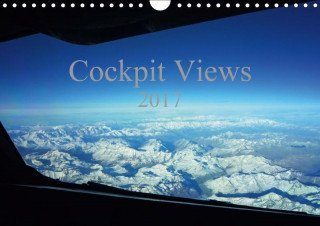 Cockpit Views 2017 (Wall Calendar 2017 DIN A4 Landscape)