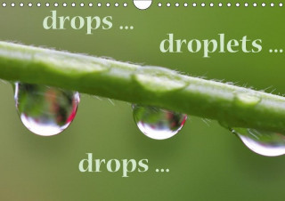 drops ... droplets ... drops ... (Wall Calendar 2017 DIN A4 Landscape)