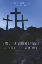 Multi-Intentioned View of the Extent of the Atonement