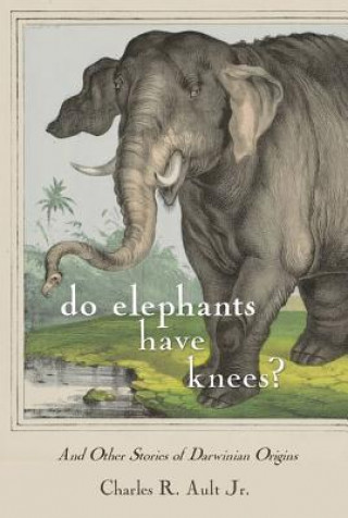 Do Elephants Have Knees?