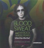 Blood, Sweat, and My Rock 'n' Roll Years: Is Steve Katz a Rock Star?