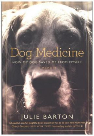 Dog Medicine